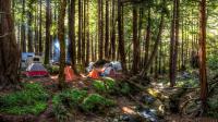 Camping Among The Trees�